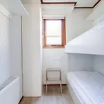 Chalet Omringd Door Op De Veluwe Putten