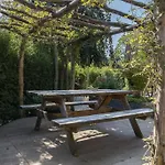 Omringd Door Op De Veluwe Chalet