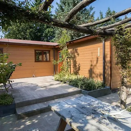 샬레 Omringd Door Op De Veluwe - Perfect Voor Gezinnen *