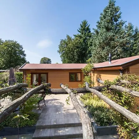 Omringd Door Op De Veluwe Chalet