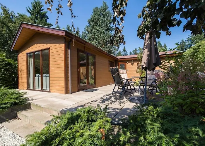 Omringd Door Op De Veluwe - Perfect Voor Gezinnen Putten