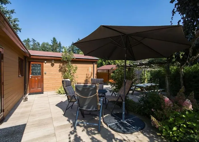 Omringd Door Op De Veluwe - Perfect Voor Gezinnen Alpstuga *