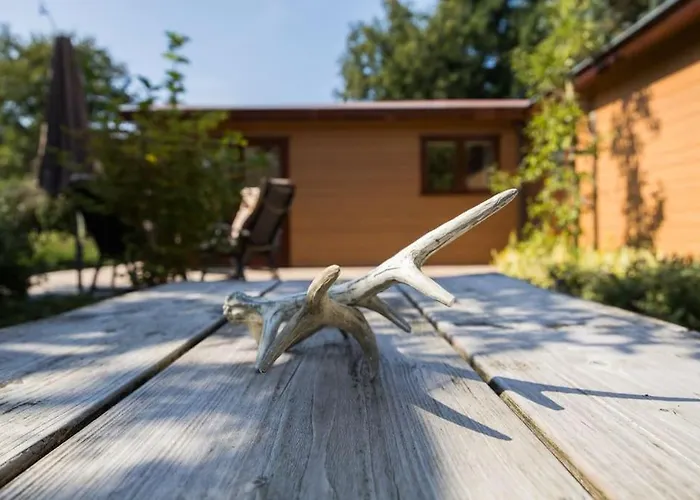 Alpstuga Omringd Door Op De Veluwe - Perfect Voor Gezinnen Putten